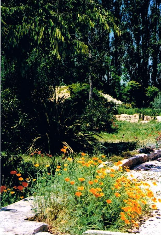 Le Mas de la Chouette Saint-Rémy-de-Provence Extérieur photo