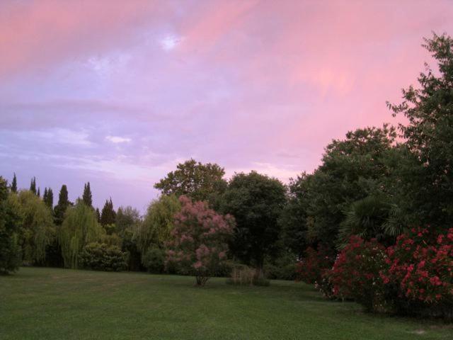 Le Mas de la Chouette Saint-Rémy-de-Provence Extérieur photo