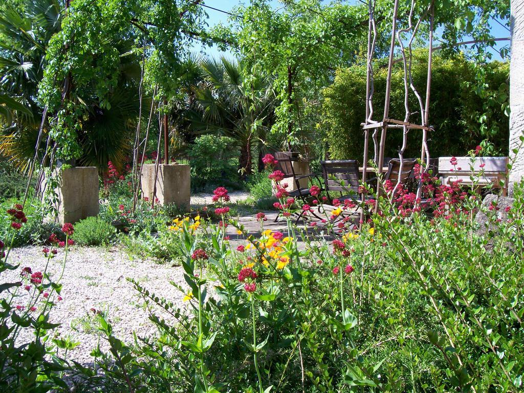 Le Mas de la Chouette Saint-Rémy-de-Provence Extérieur photo